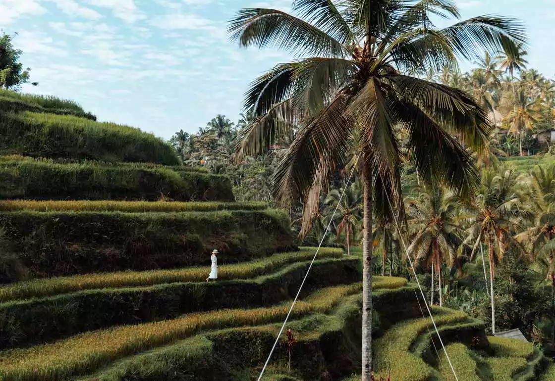 ubud bali