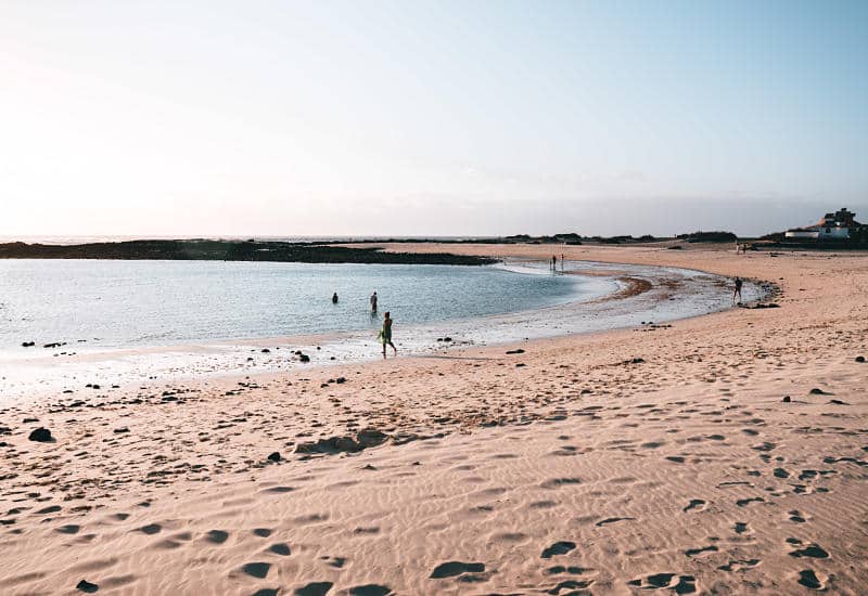 el cotillo