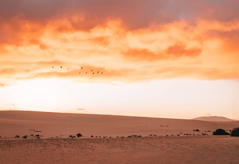 fuerteventura canarias