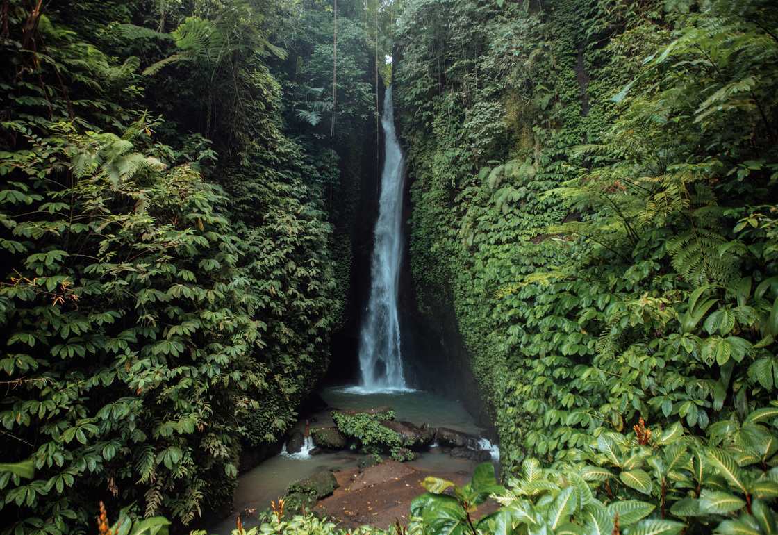 lugares para visitar en bali