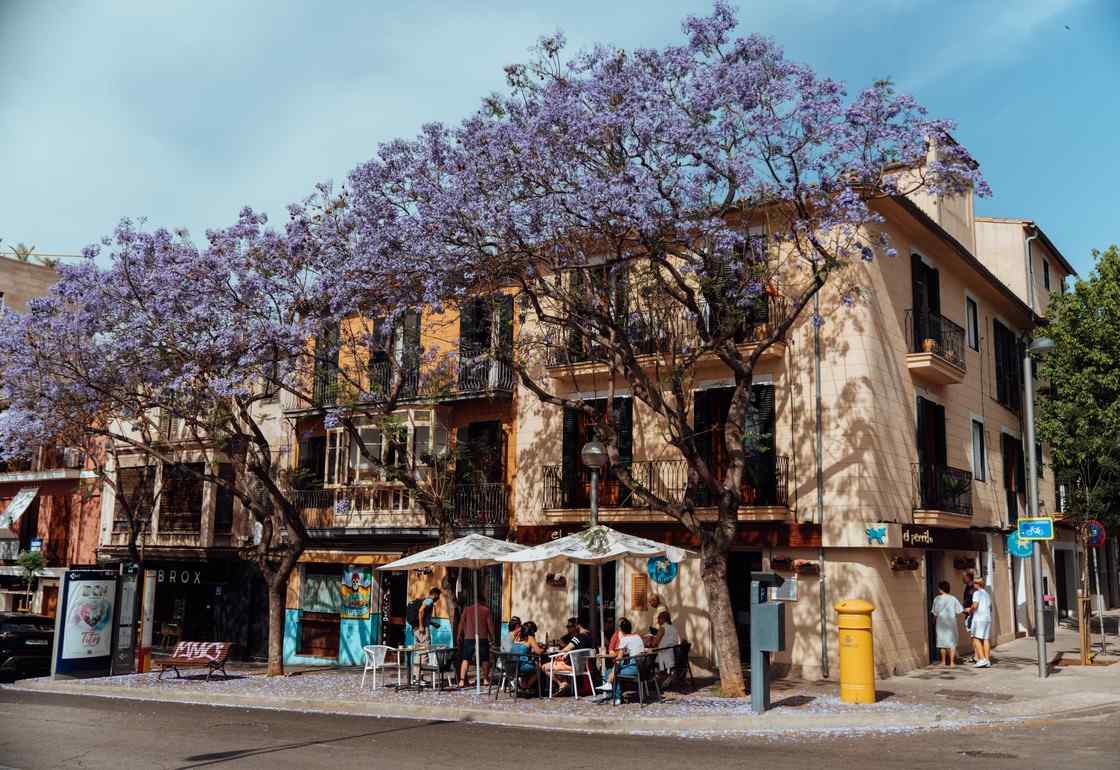 barrio santa catalina