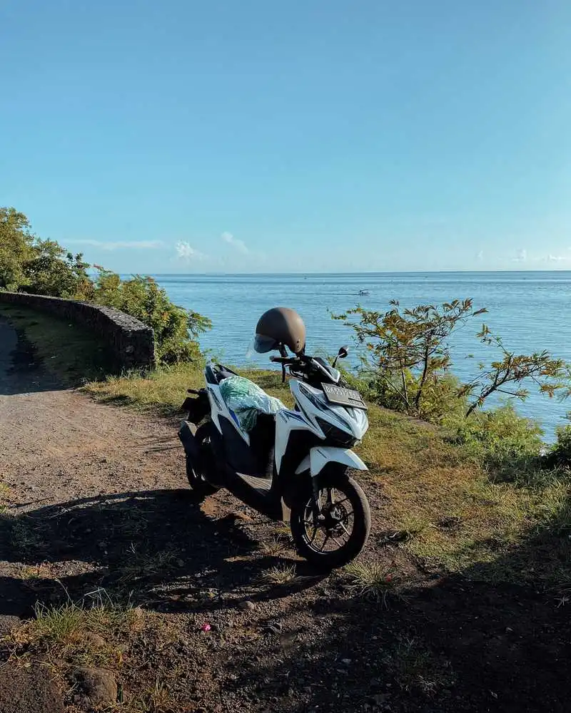 amed bali