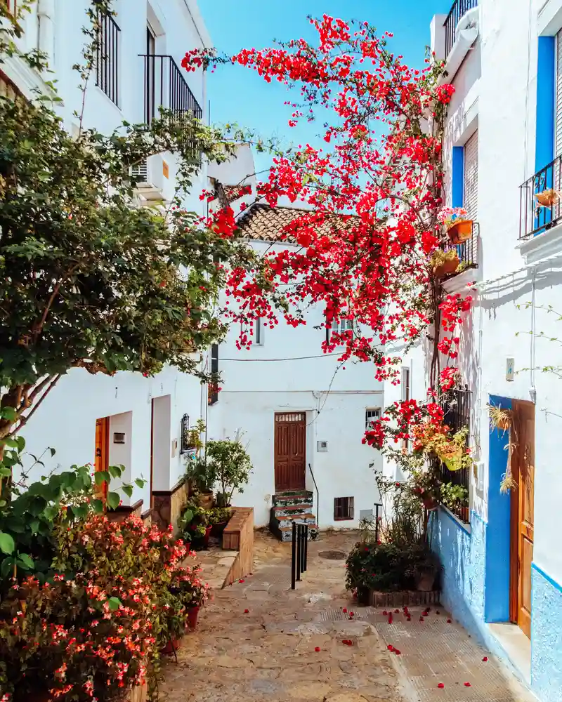 ruta de los pueblos blancos cadiz